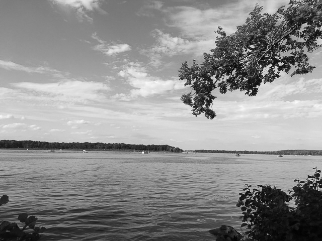 Blick aus dem Schlosspark über den Templiner See zum gegenüberliegenden Ufer, Schwarz-Weiß-Foto
